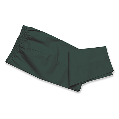 Women’s Elastic Waist Pants, Spruce Green