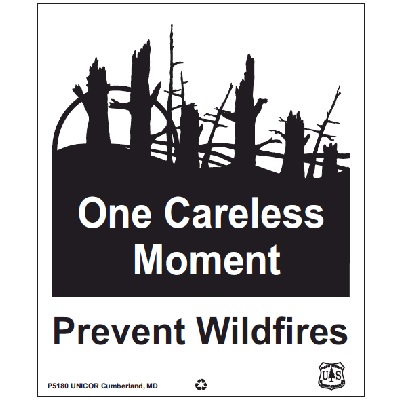One Careless Moment - Prevent Wildfires, USFS Sign